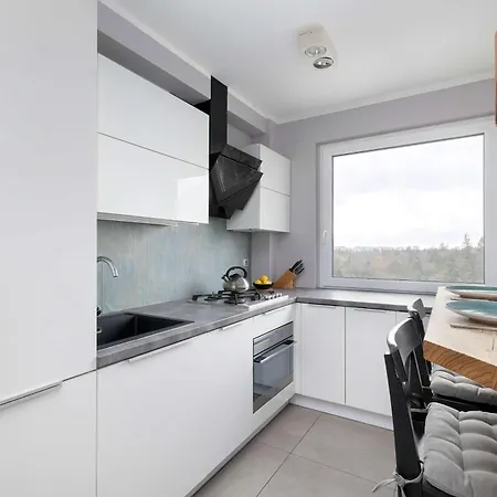 Modern View In With Balcony & Workspace By Renters * שצ'צ'ין